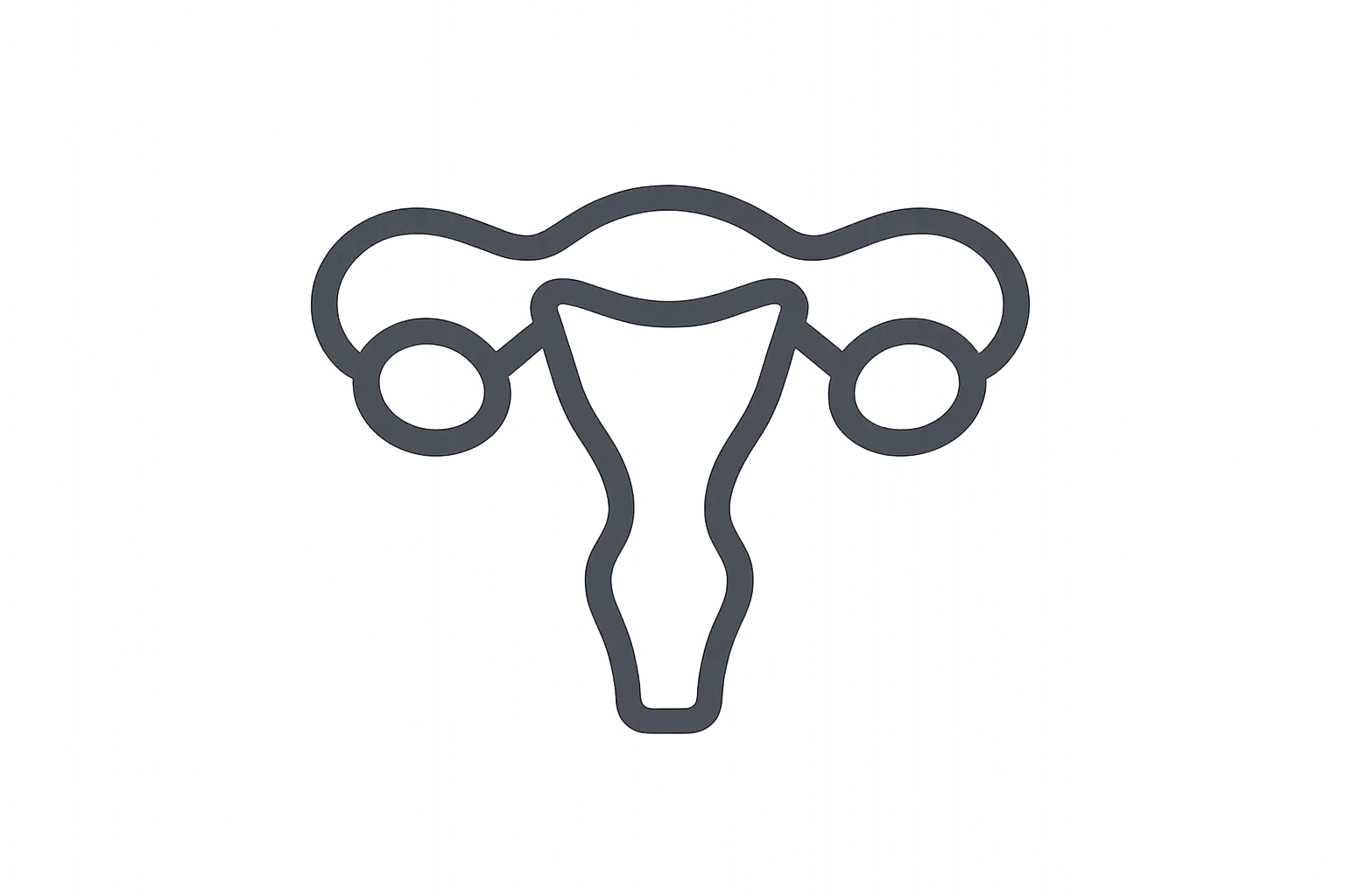 Fisioterapia de suelo pélvico en la menopausia en Málaga